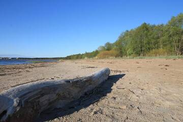 Фото номера Шале с одной спальней Шале Excellent log house with a sauna in Lahemaa! г. Hara 57